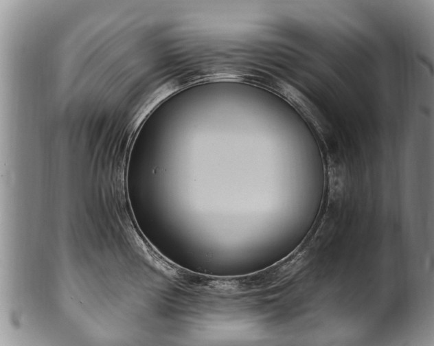 X0000102371194200808081146