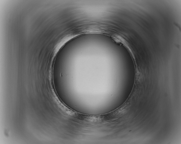 X0000102371195200808081146