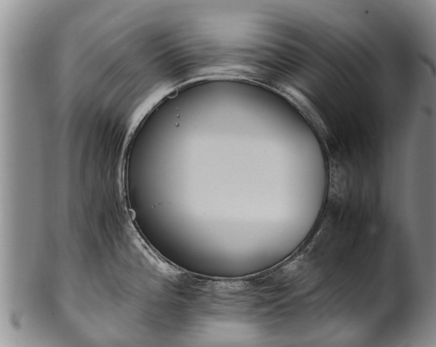 X0000102371196200808081146