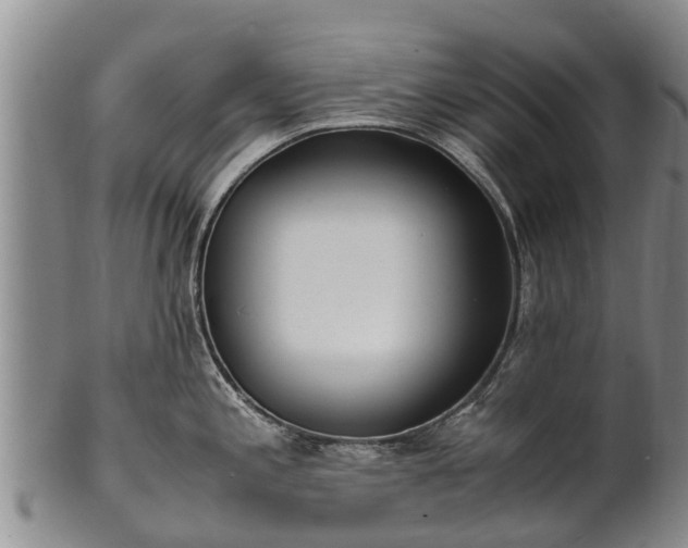 X0000102371197200808081146