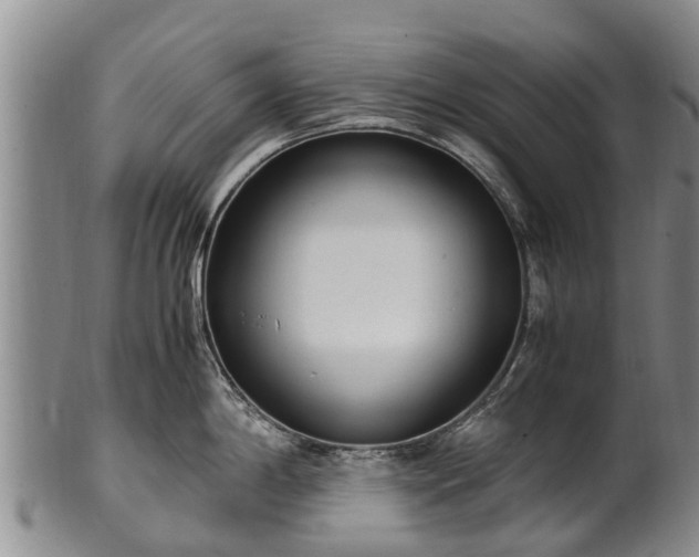 X0000102371198200808081145