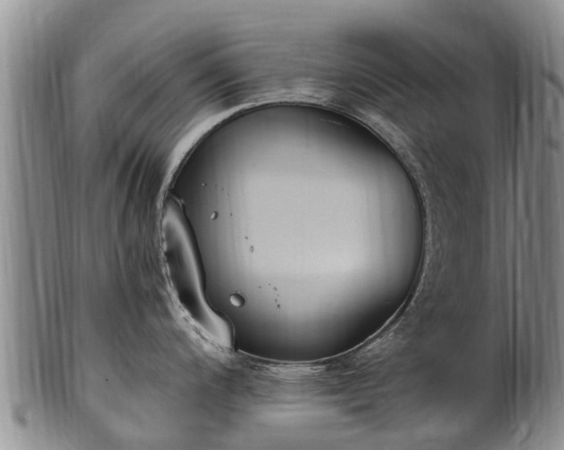 X0000102371200200808081145