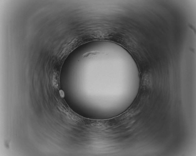 X0000102371202200808081145