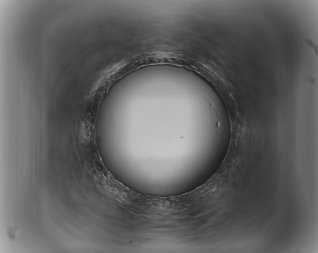 X0000102371207200808081145