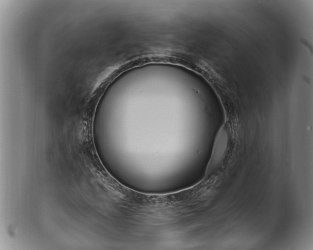 X0000102371208200808081145