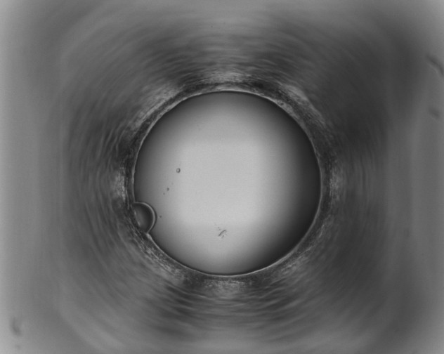 X0000102371209200808081145