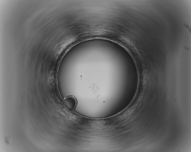 X0000102371210200808081145