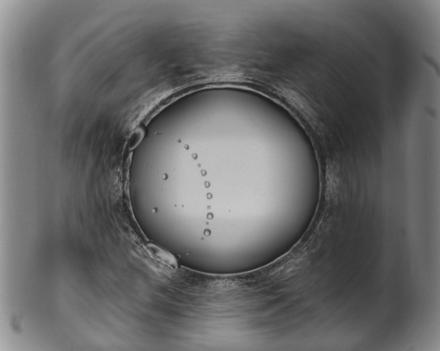 X0000102371212200808081145