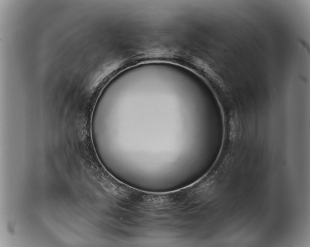 X0000102371213200808081145