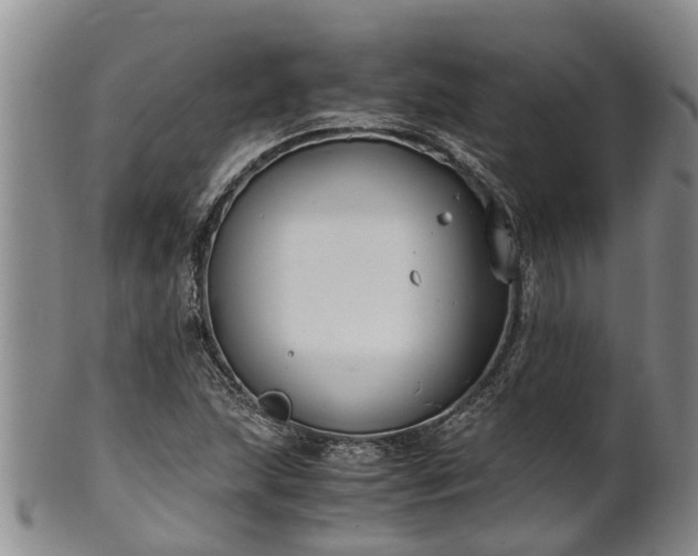 X0000102371215200808081145