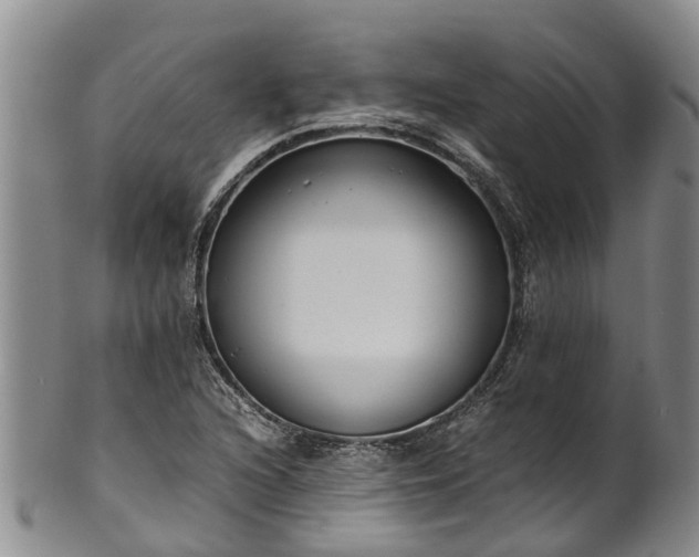 X0000102371216200808081145