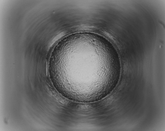 X0000102371219200808081145