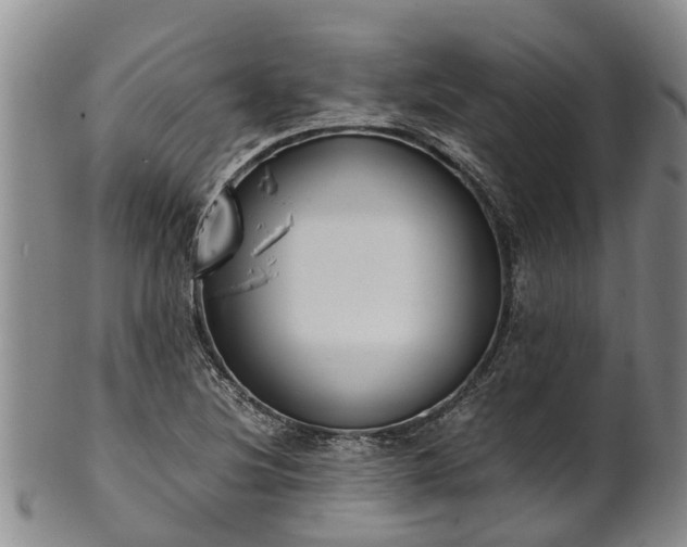 X0000102371220200808081145