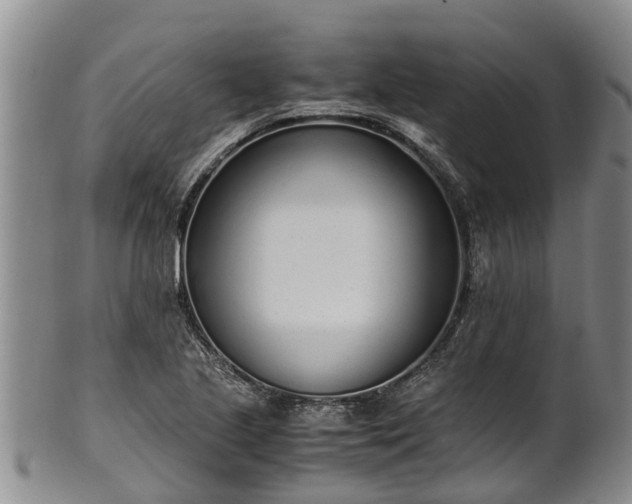 X0000102371221200808081145