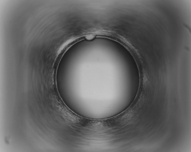 X0000102371222200808081145