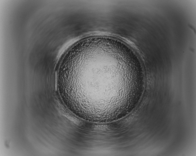 X0000102371223200808081145