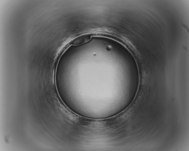 X0000102371224200808081145