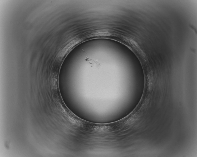 X0000102371225200808081145