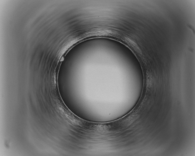 X0000102371226200808081145