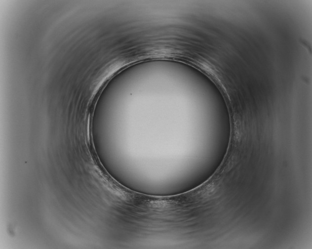 X0000102371227200808081145