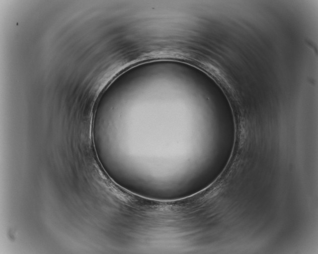 X0000102371228200808081145