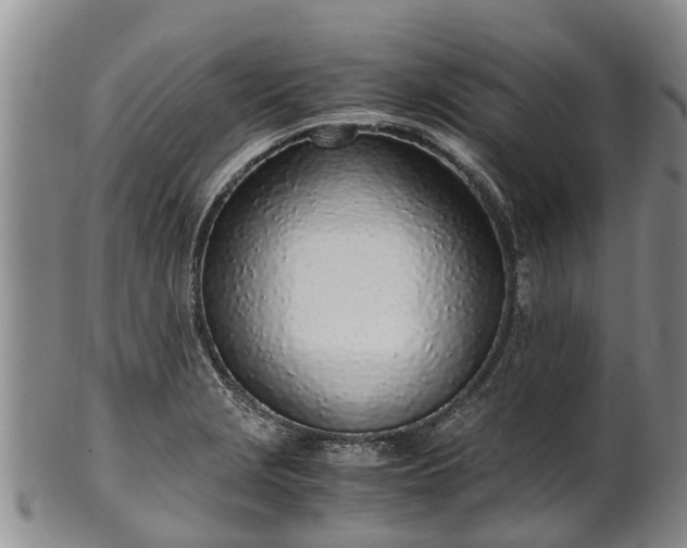 X0000102371229200808081145