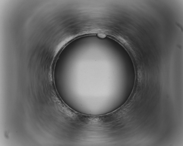 X0000102371230200808081145