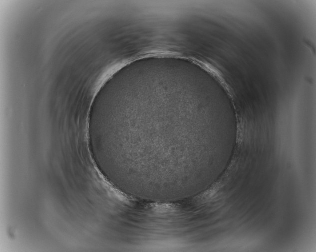 X0000102371231200808081145