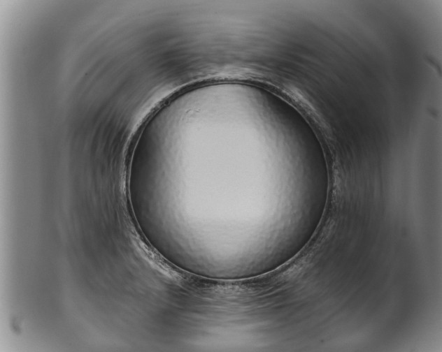 X0000102371232200808081145