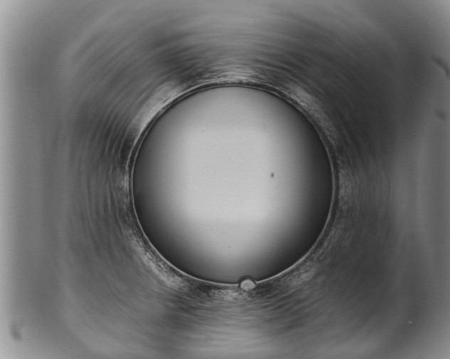 X0000102371234200808081145