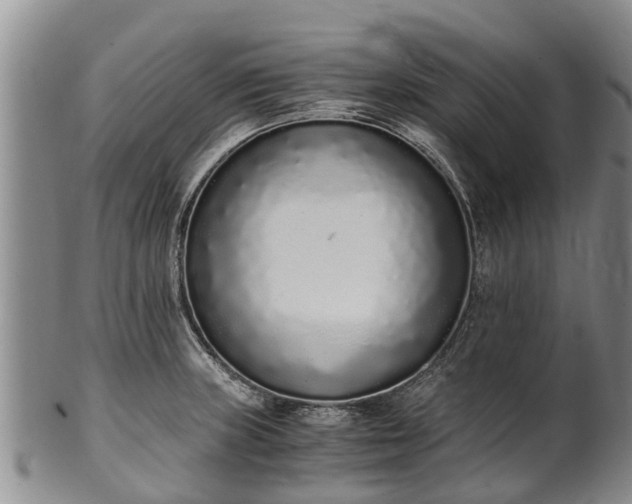 X0000102371235200808081145