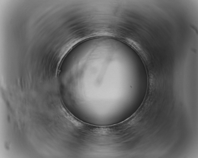 X0000102371236200808081145