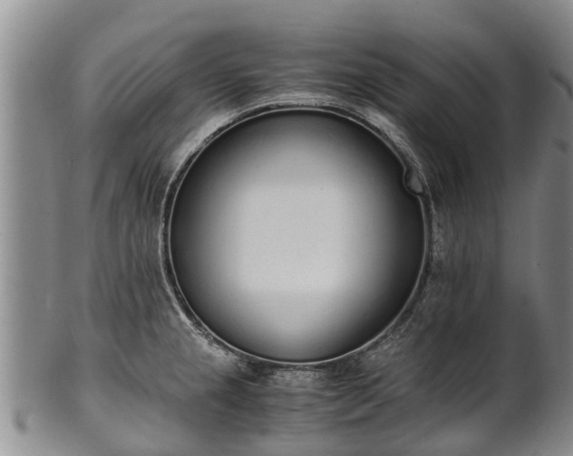 X0000102371237200808081145