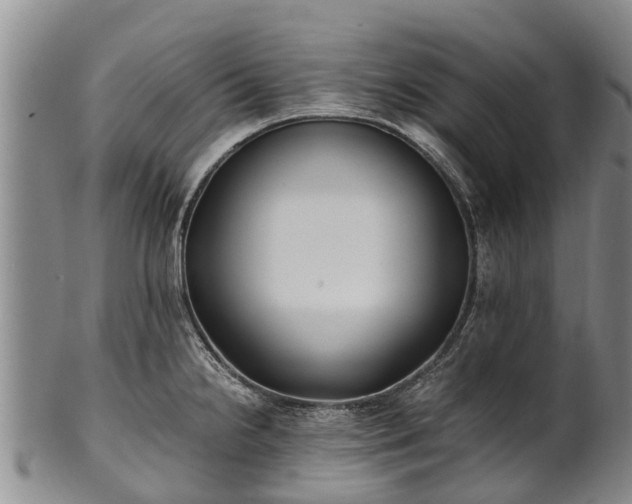 X0000102371238200808081145