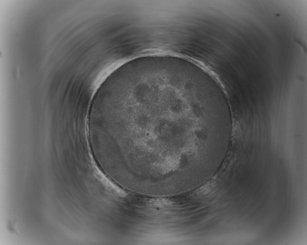 X0000102371239200808081145