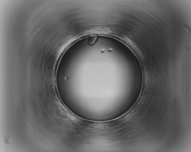 X0000102371240200808081145