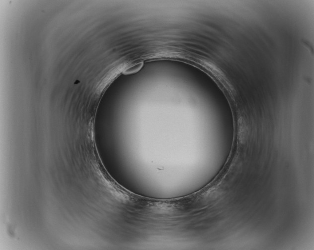 X0000102371241200808081145