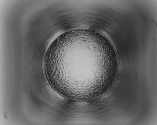 X0000102371243200808081145