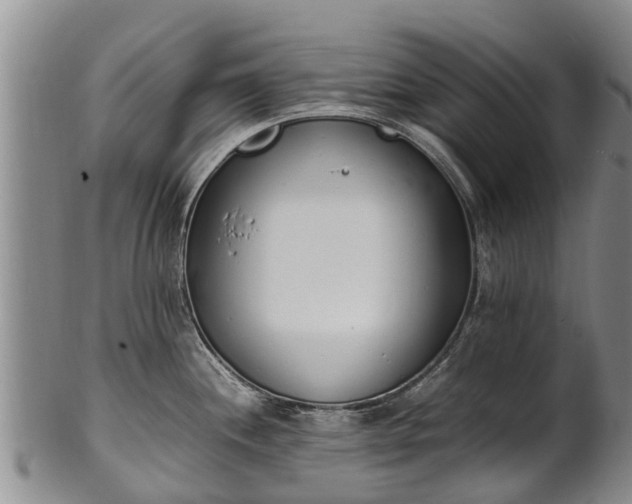 X0000102371244200808081145