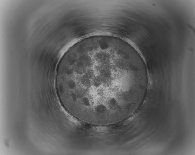 X0000102371245200808081145