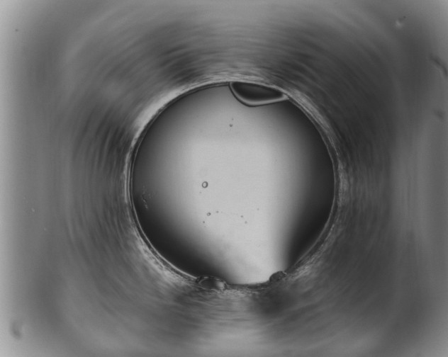 X0000102371246200808081145