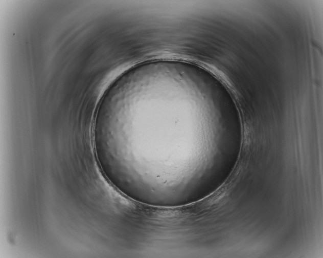 X0000102371247200808081145