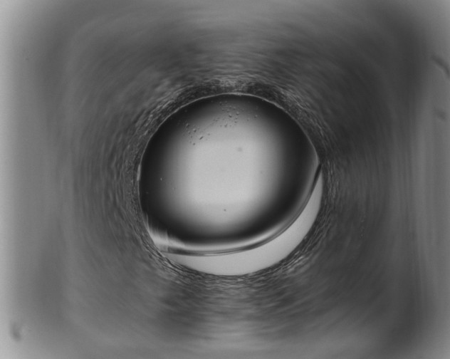 X0000102371249200808081145