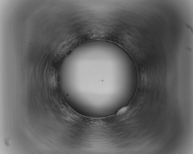 X0000102371250200808081145