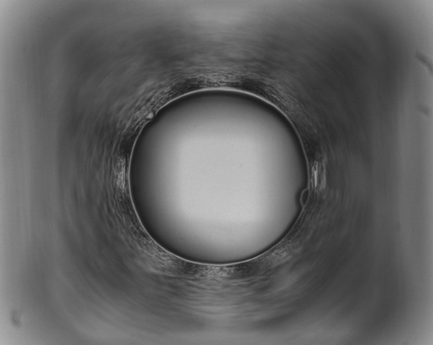 X0000102371251200808081145