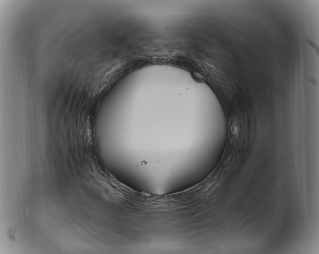 X0000102371252200808081145