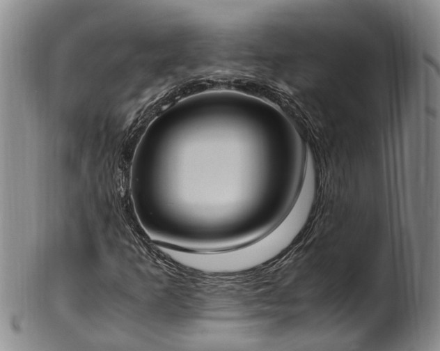 X0000102371253200808081145