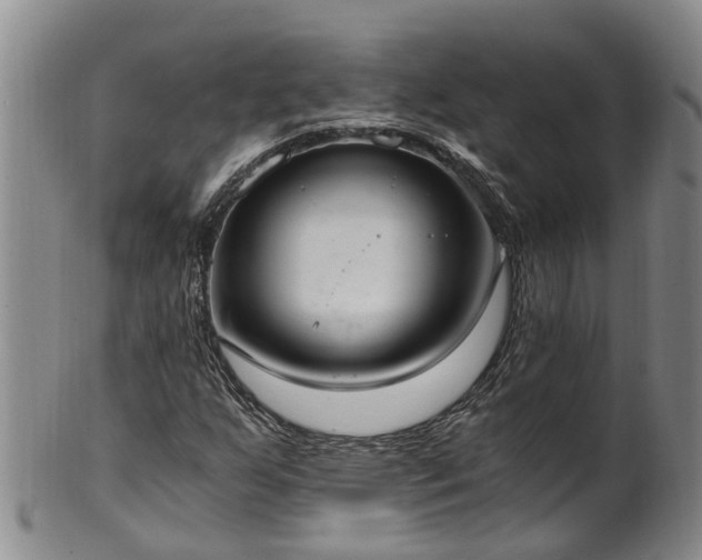 X0000102371255200808081145