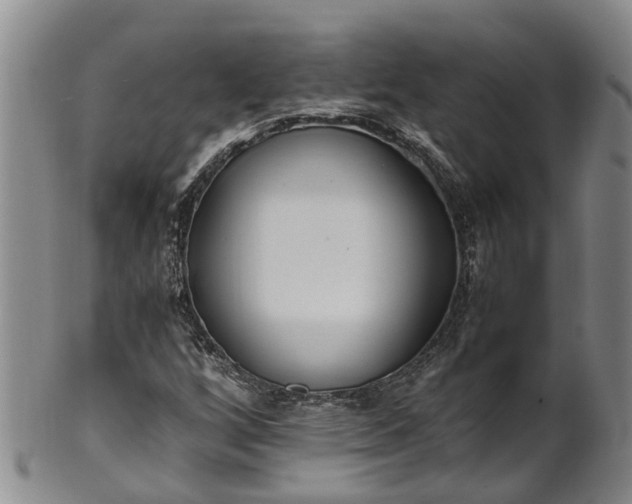 X0000102371256200808081145