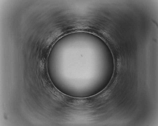 X0000102371257200808081145